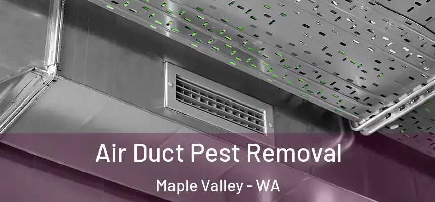  Air Duct Pest Removal Maple Valley - WA
