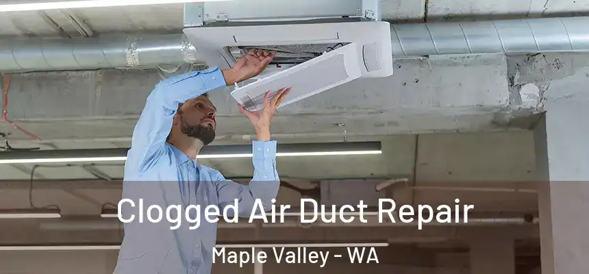 Clogged Air Duct Repair Maple Valley - WA