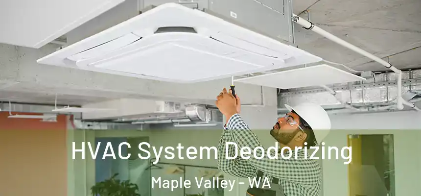  HVAC System Deodorizing Maple Valley - WA