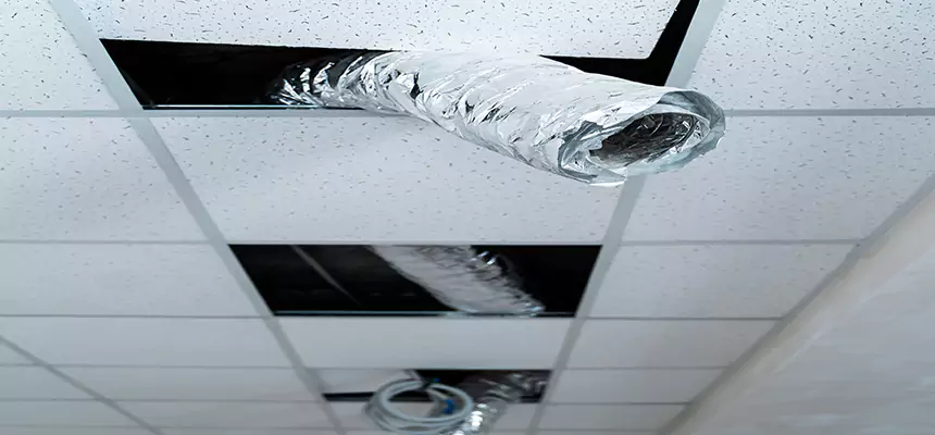 Our Air Duct Pet Hair Removal Services in Maple Valley, WA