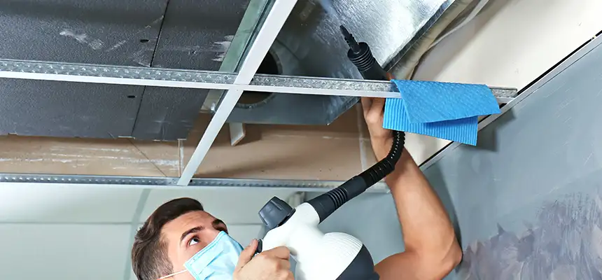 Our Air Duct Rodent Removal Services in Maple Valley, WA