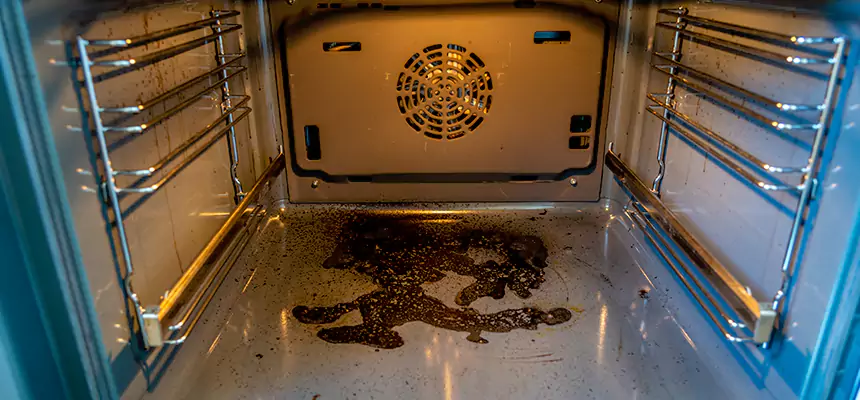 Our Air Purifier Installation Services in Maple Valley, WA