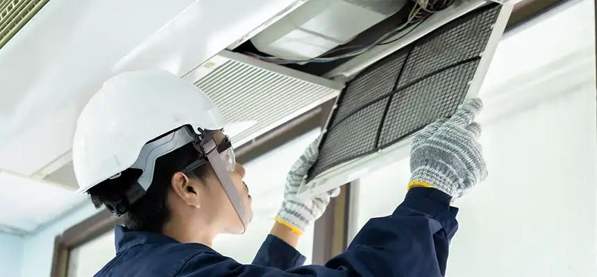 Our Lint Trap Cleaning Service Services in Maple Valley, WA