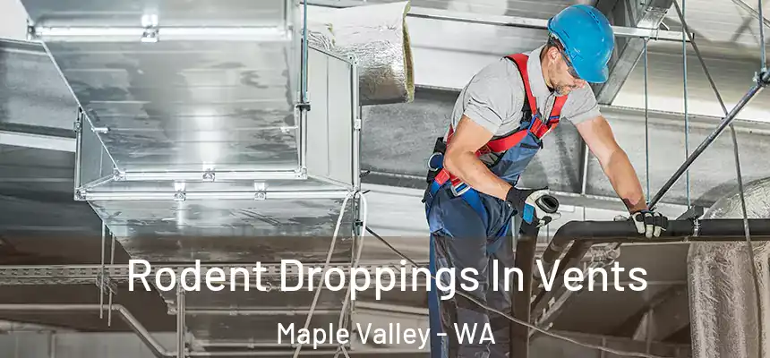  Rodent Droppings In Vents Maple Valley - WA