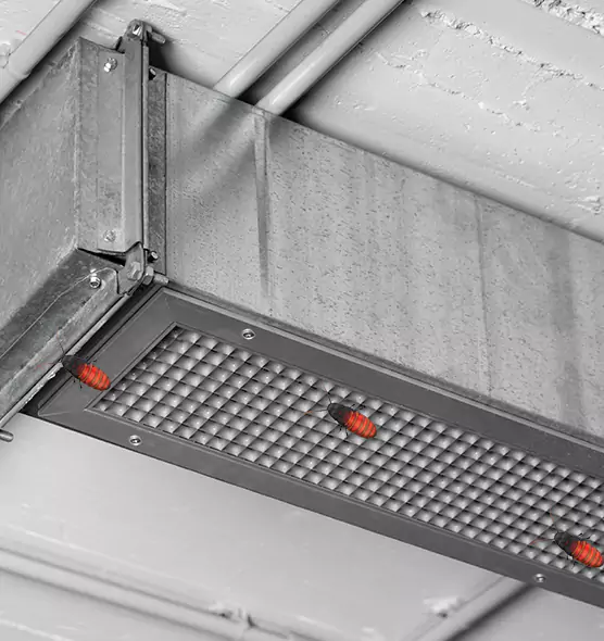 About Air Duct Cockroach Removal in Maple Valley, WA