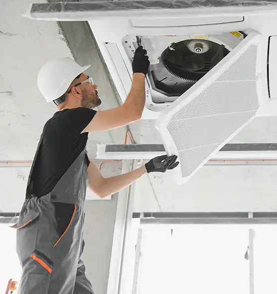 About Air Duct Rodent Removal in Maple Valley, WA