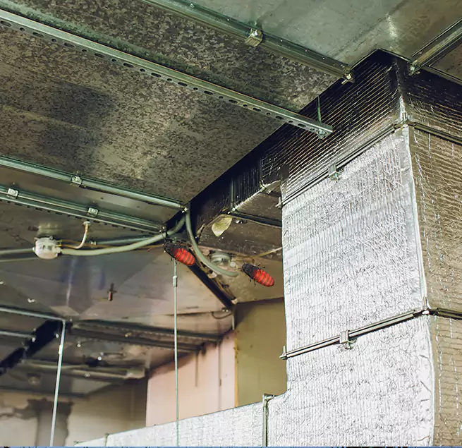 Why Homeowners & Businesses Trust Us in Maple Valley, WA?