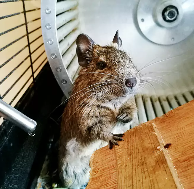 Why Homeowners & Businesses Trust Us Maple Valley, WA