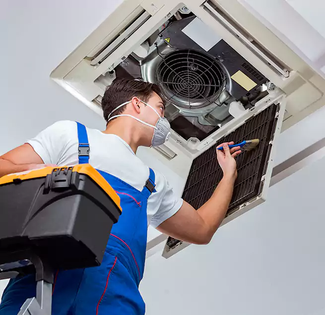 Why Homeowners & Businesses Trust Us in Maple Valley, WA