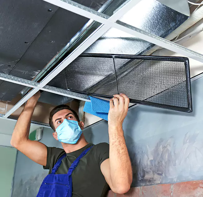 Why Homeowners & Businesses Trust Us in Maple Valley, WA?