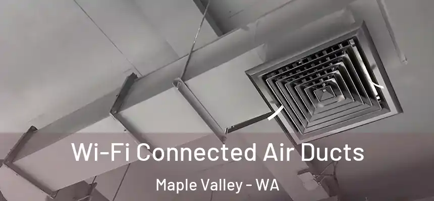 Wi-Fi Connected Air Ducts Maple Valley - WA